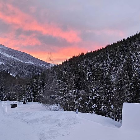 Hotel Bouda Bile Labe Szpindlerowy Młyn Zewnętrze zdjęcie